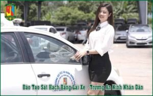 Đào Tạo Sát Hạch Thi Bằng Lái Xe Hạng B1