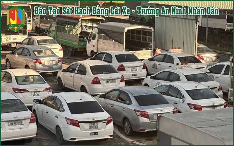 Nên Học Bằng Lái Xe B1 Hay B2