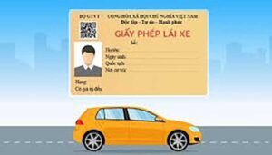 Các Loại Giấy Phép Lái Xe Mới Nhất 2025